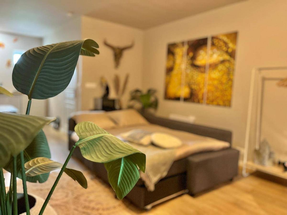 Appartement entier, "Gîte Ibiza" - Airco in Chamblet, Région de Montluçon