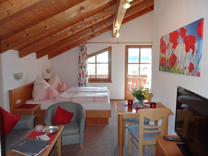 Ganze Wohnung, Haus Seidl - Studioappartement mit Südbalkon in Bodenmais, Ostbayern