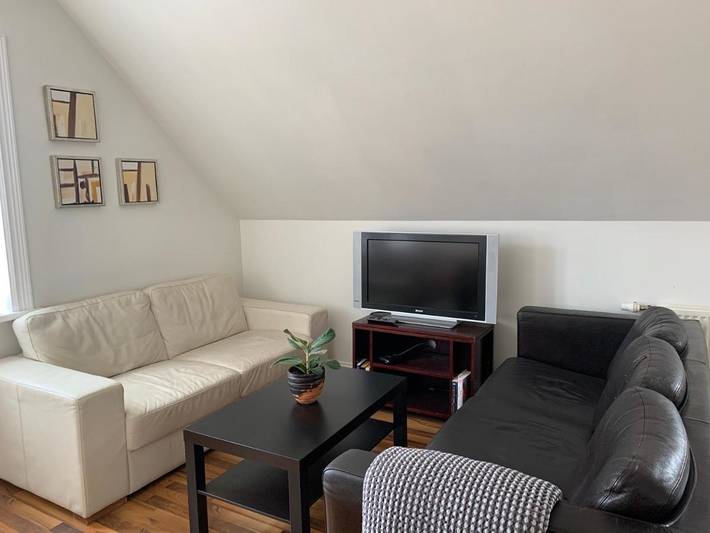 Maison d’hôte pour 3 personnes, avec terrasse et jardin en Islande - 3