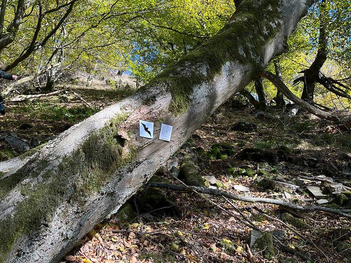 Hotel für 2 Personen in Bad Berleburg - 3