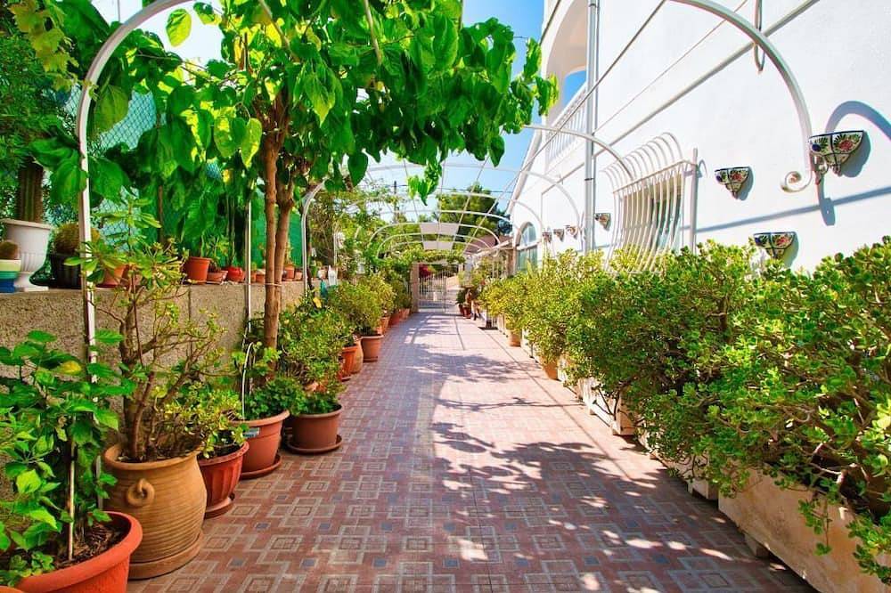 Atalaya Bosque Apartments  in Peguera, Calvià