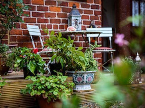 The Shepherd's Purse in Whitby, North York Moors National Park