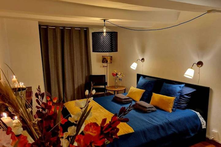 Location de vacances pour 4 personnes, animaux acceptés à Saint-Michel-de-Lanès - 3