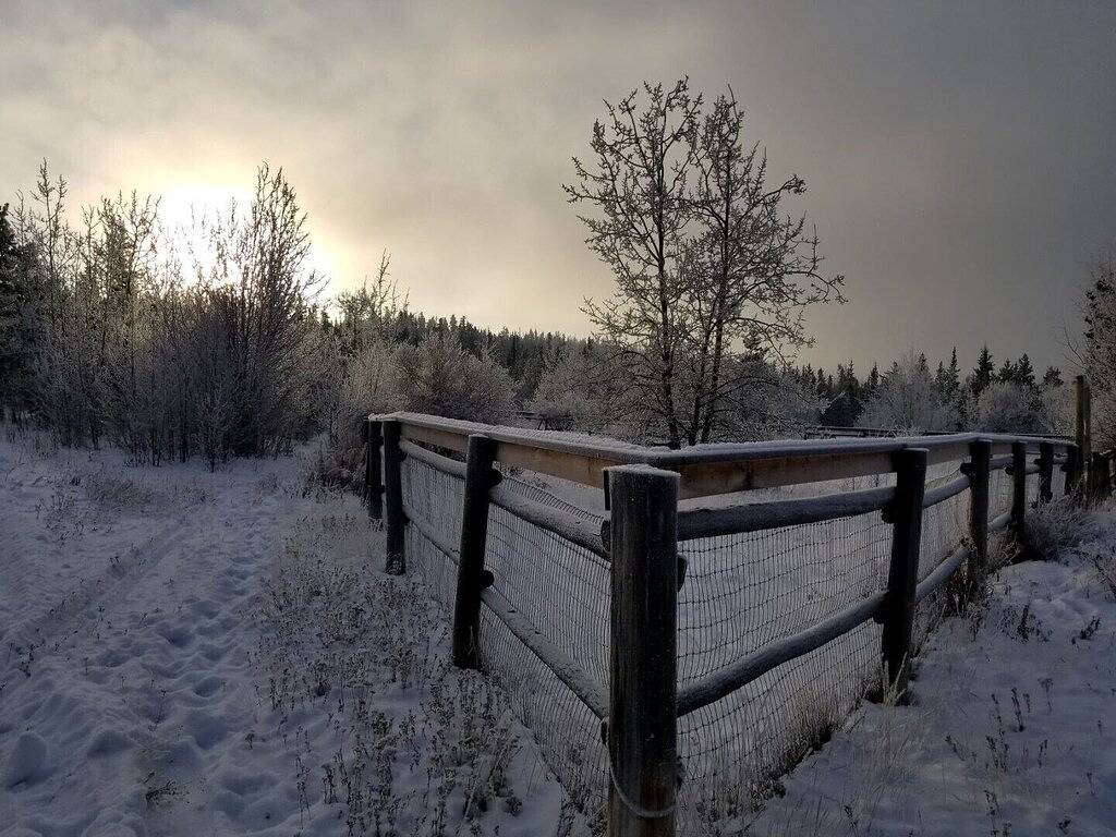 Cranberry Lodge Gästehaus in Yukon