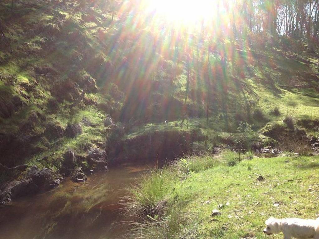 30 Acres, Tennisplätze, Badestellen, Feuerstelle, Angeln, Buschwanderungen & Familie in New South Wales