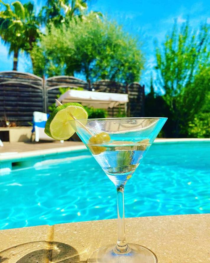 Location de vacances pour 8 personnes, avec vue ainsi que jardin et piscine à Saint-Jeannet - 3