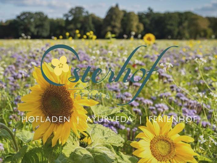 Bauernhof für 4 Personen, mit Sauna und Garten, kinderfreundlich auf Fehmarn