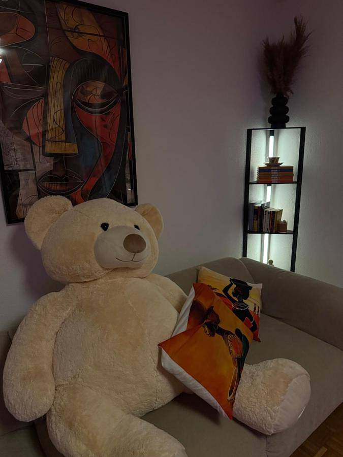 Gîte pour 3 personnes, avec vue et terrasse, animaux acceptés à Fribourg - 2