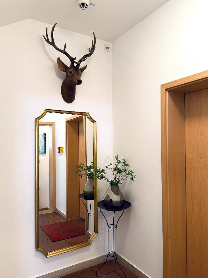 Single Room in Friedberg, Souabe (Bavière)