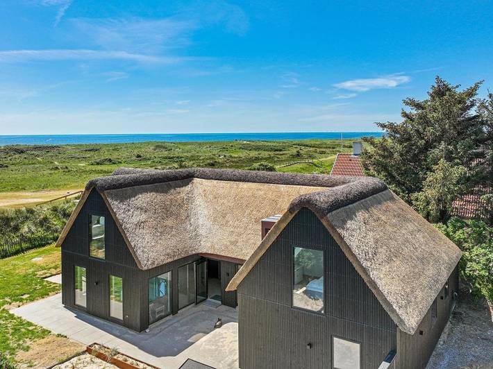 Ferienhaus für 8 Personen, mit Balkon/Terrasse und Whirlpool sowie Terrasse und Pool in Blavand