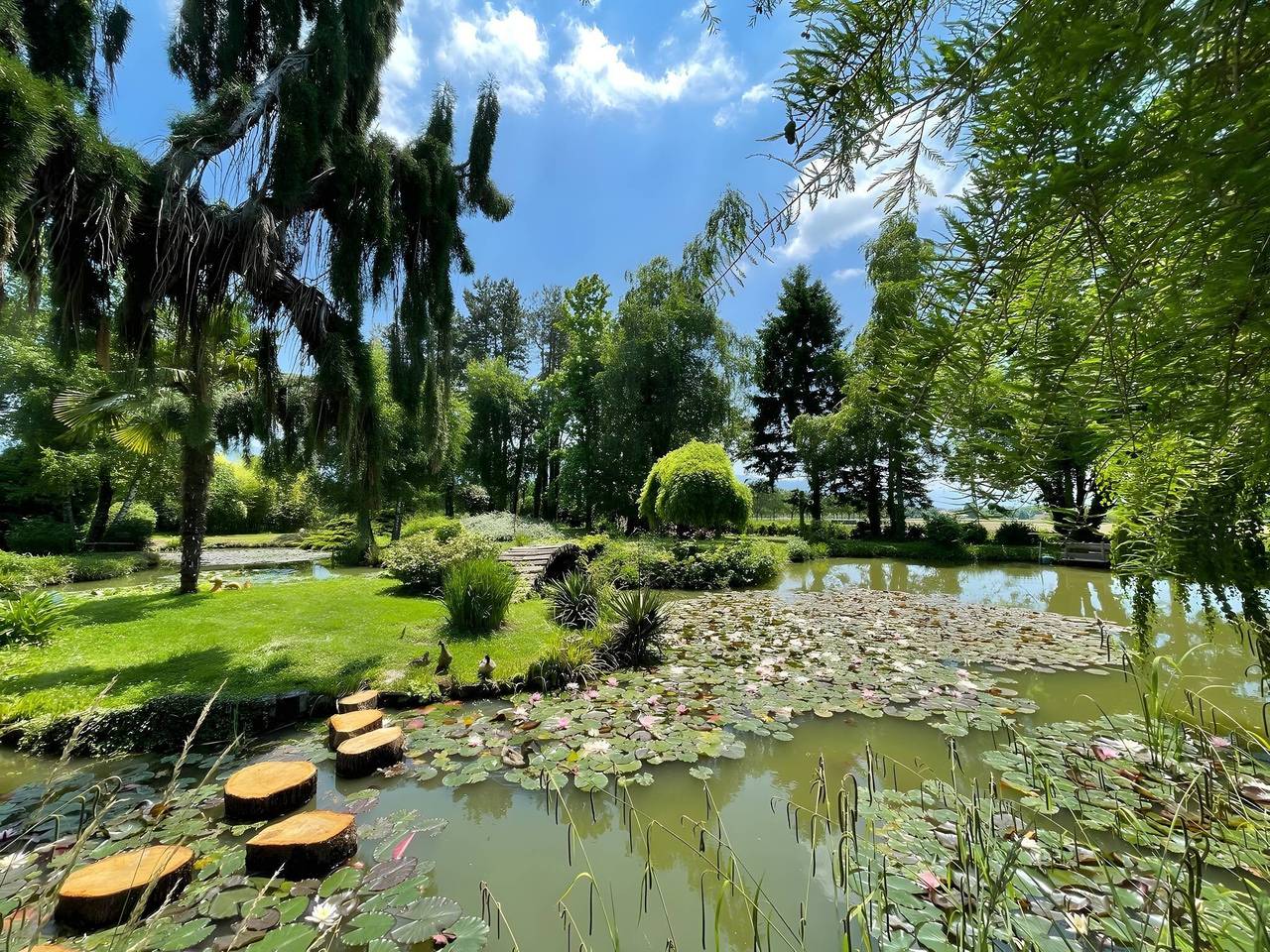 Gîte 4 personnes - La fontaine des Rollands - piscine chauffée - parc d'exception au pied du Vercors in Saint-Vérand, Isère
