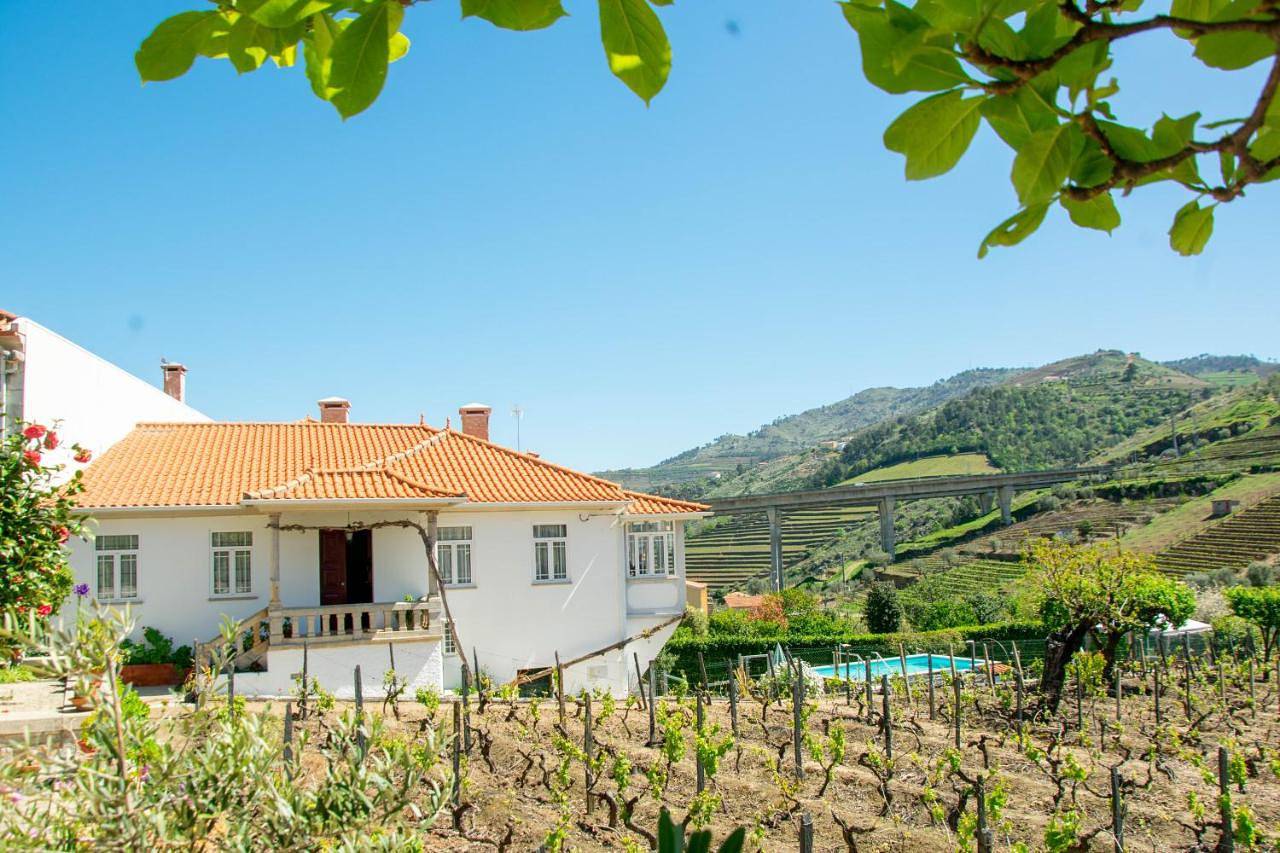 Cosy Historical House in Lamego - Quinta do Cabo in Lamego, Vale do Douro