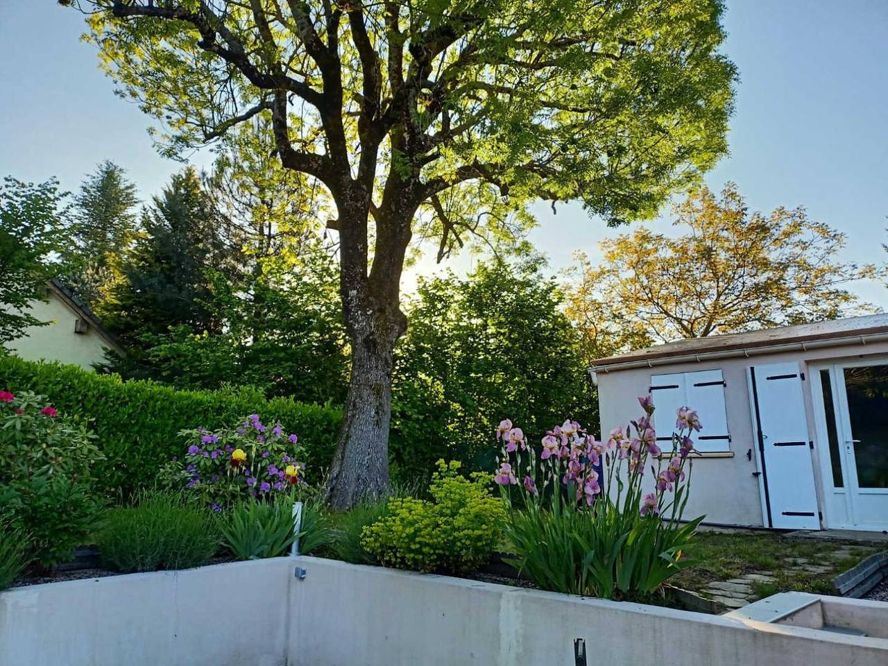 A l'Ombre du Frêne in Lacombe, Carcassonne und Umgebung