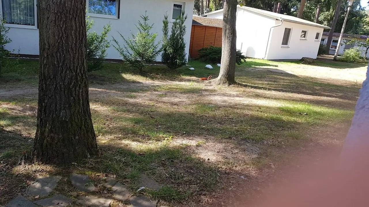 Ferienhaus für 3 Personen (30 m²) in Amt Röbel-Müritz in Röbel, Müritz