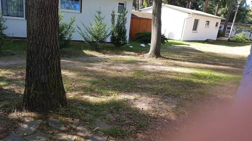 Ferienhaus für 3 Personen, mit Terrasse