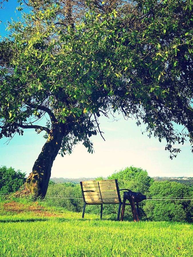 Casa rural para 4 personas, con vistas además de vistas al lago y jardín, Familias con niños en Zas
