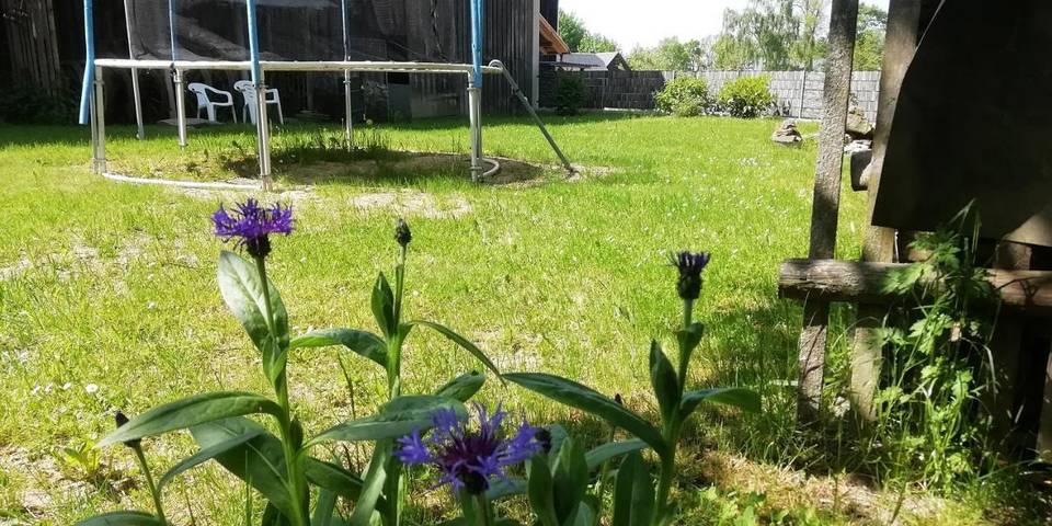 Camping für 4 Personen, mit Garten und Ausblick in Sachsen - 4