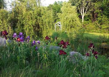 Cabin Rentals And Lodges for 10 Guests in Lake Ontario (Canada), Picture 4