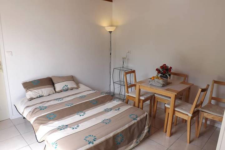 Gîte pour 4 personnes, avec jardin, animaux acceptés à Cahuzac - 3