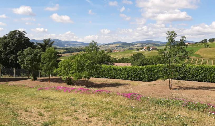 Chambre d’hôte pour 2 personnes, avec jardin dans Beaujolais - 4