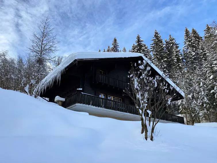 Ganze Wohnung, 2 Zimmer 2 Personen in Vers-l'Église, Ormont-Dessus (Les Diablerets)