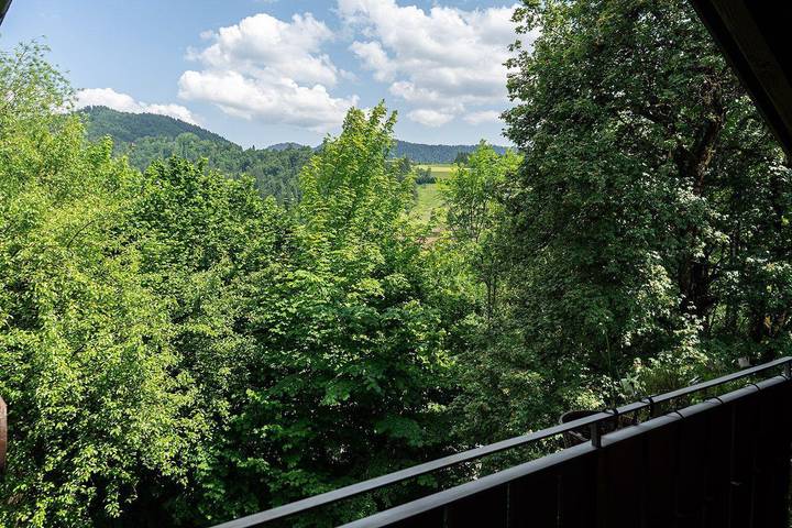 Ganze Ferienwohnung, Fewo Sabine in Oberstaufen, Bayerisch Schwaben
