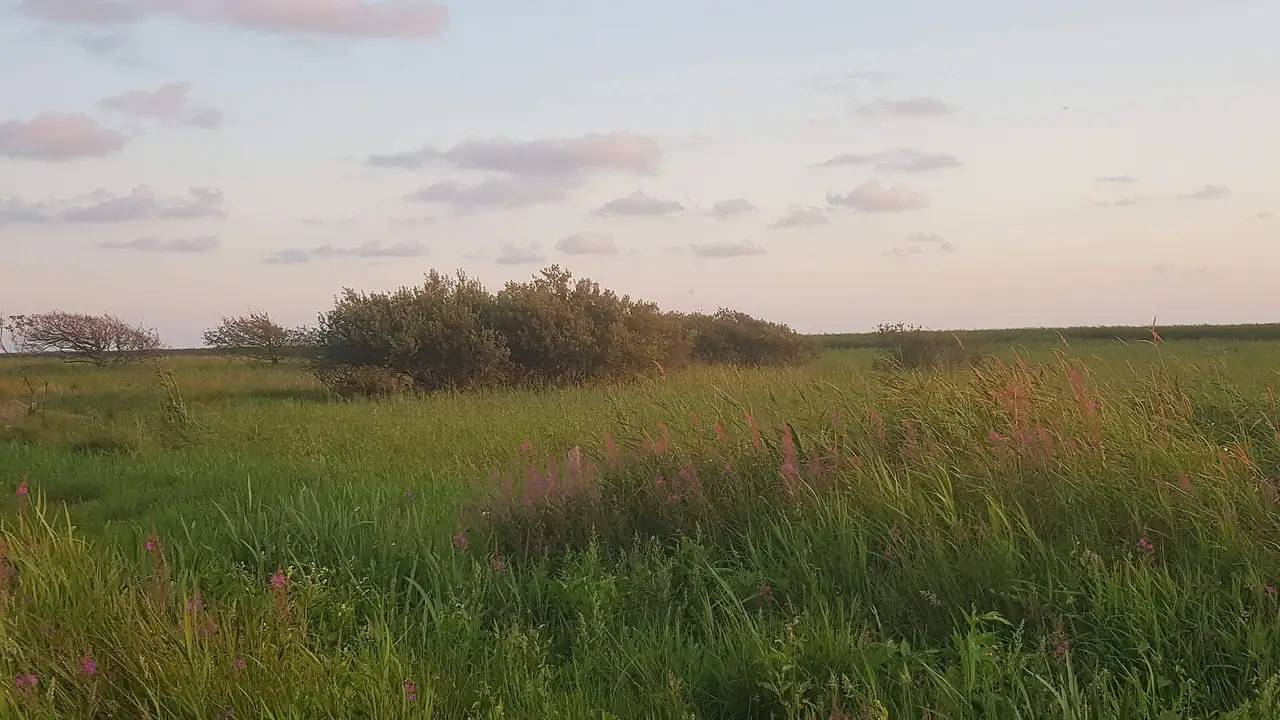 Ferienhaus für 8 Personen (112 m²) in Sønderby in Stauning, Ringkøbing fjord