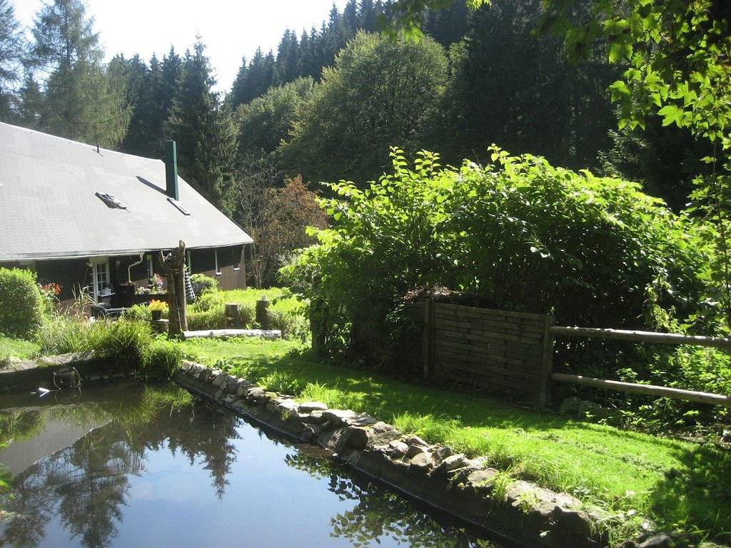 & Malerei Gitte Mörstedt in Stützerbach, Rennsteig