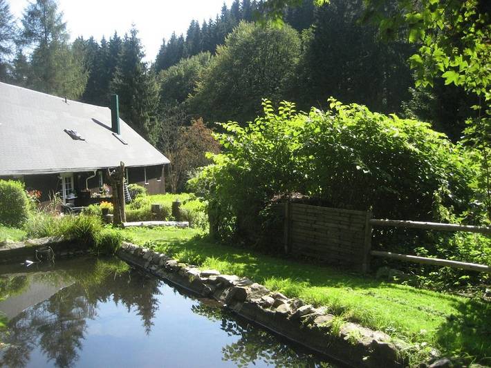 & Malerei Gitte Mörstedt in Stützerbach, Rennsteig