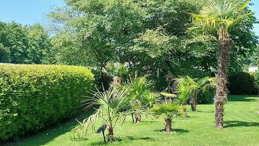 Ferienhaus für 4 Personen, mit Garten in Naturpark Lahn-Dill-Bergland - 3