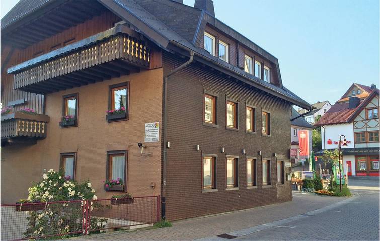 Gîte pour 6 personnes, avec terrasse, animaux acceptés dans Schonach (Ville) - 2