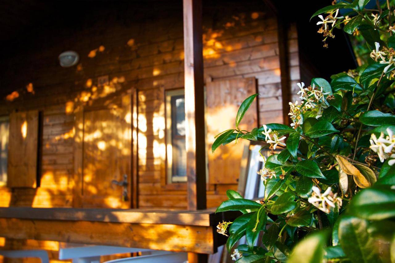 One-Bedroom Chalet in Marina di Camerota, Camerota