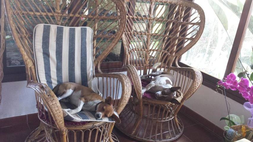 Location de vacances pour 3 personnes, avec vue ainsi que terrasse et jardin, animaux acceptés à Fluminimaggiore - 2