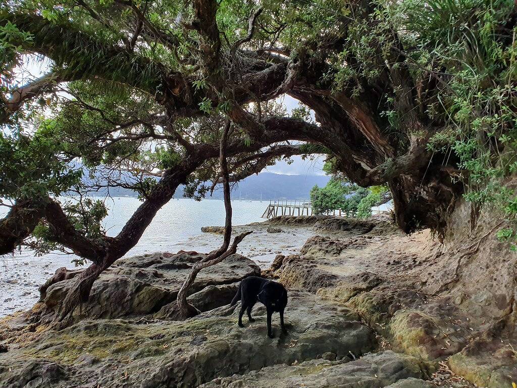 Versteck am Strand in exklusiver Bucht - Ruffins Rocks @ Ruffins Bay in Coromandel, Waikato