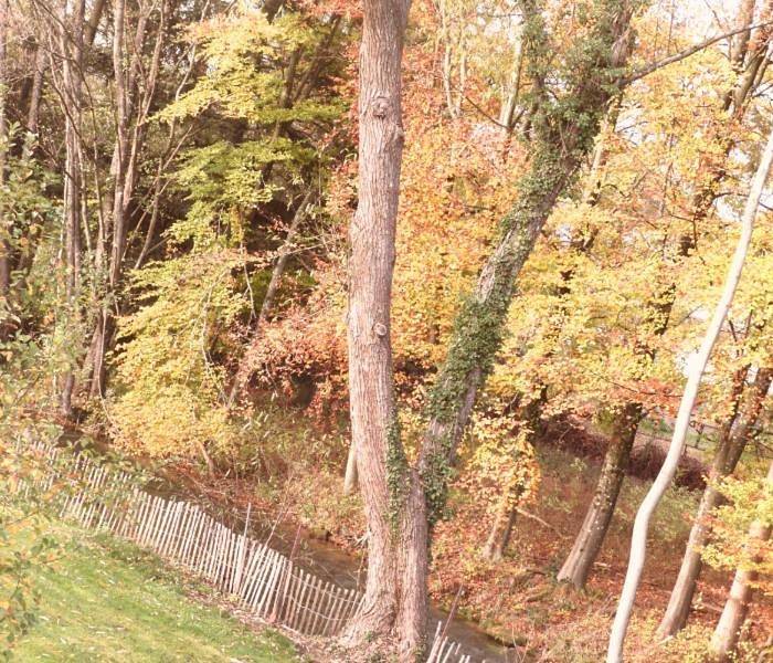 Hôtel pour 2 personnes, avec jardin dans Monastère et Abbaye d'Orval - 4