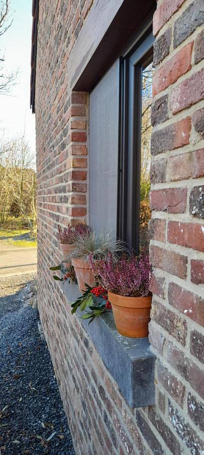 Gîte pour 3 personnes, avec terrasse et vue à Braives - 4