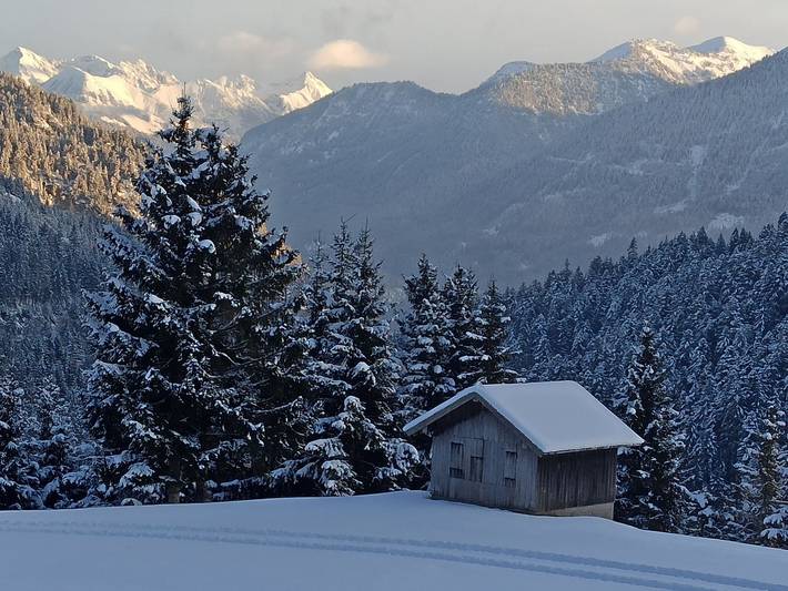 Bauernhaus für 3 Personen, mit Haustier in Österreich - 2