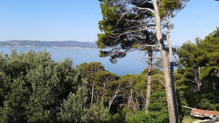 Studio für 3 Personen, mit Ausblick und Terrasse, mit Haustier in Brela