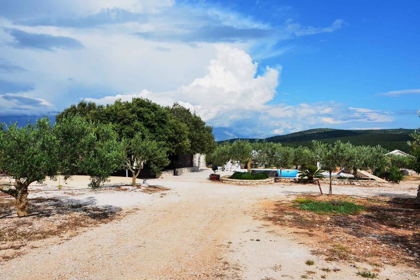Villa mit Pool in abgeschiedener und ruhiger Lage  in Pucisca, Brac
