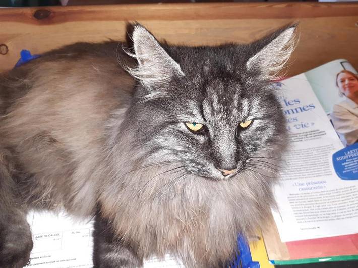 Location de vacances pour 2 personnes, avec vue et jardin à La Gacilly - 4