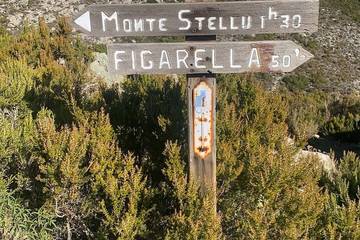 Gîte pour 4 personnes, animaux acceptés à Ville-di-Pietrabugno