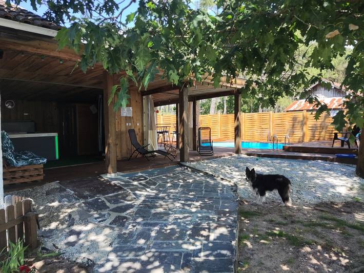 Gîte pour 7 personnes, animaux acceptés à Saint-Julien-en-Born - 2