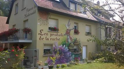 Chambre d’hôte pour 4 personnes, avec jardin à Guémar