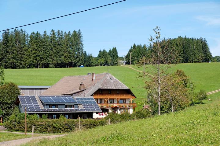 Hel lägenhet, Room 'Doppelzimmer' with Mountain View, Shared Garden and Wi-Fi in Furtwangen im Schwarzwald, Südschwarzwald