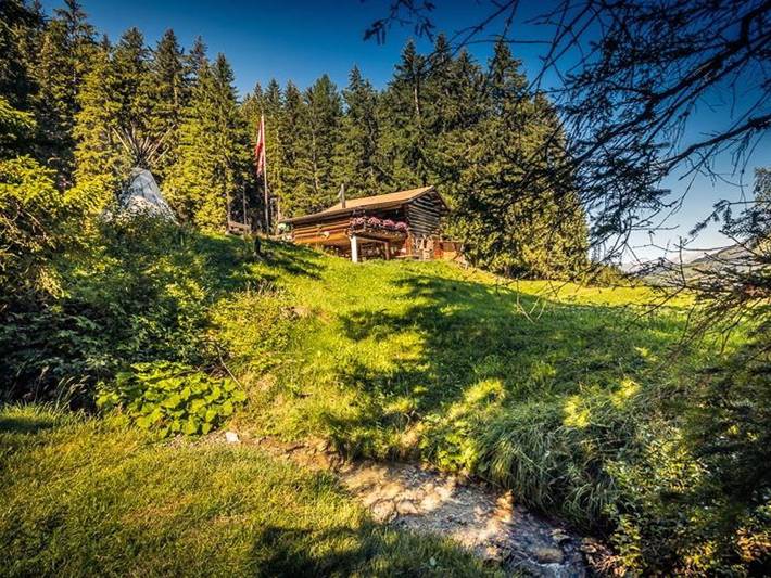 Ferienwohnung für 14 Personen, mit Terrasse in der Schweiz - 2