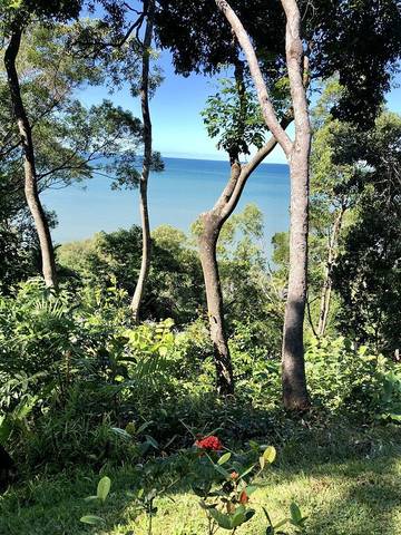 Log Cabin for 2 People in Far North Queensland, Queensland, Photo 3