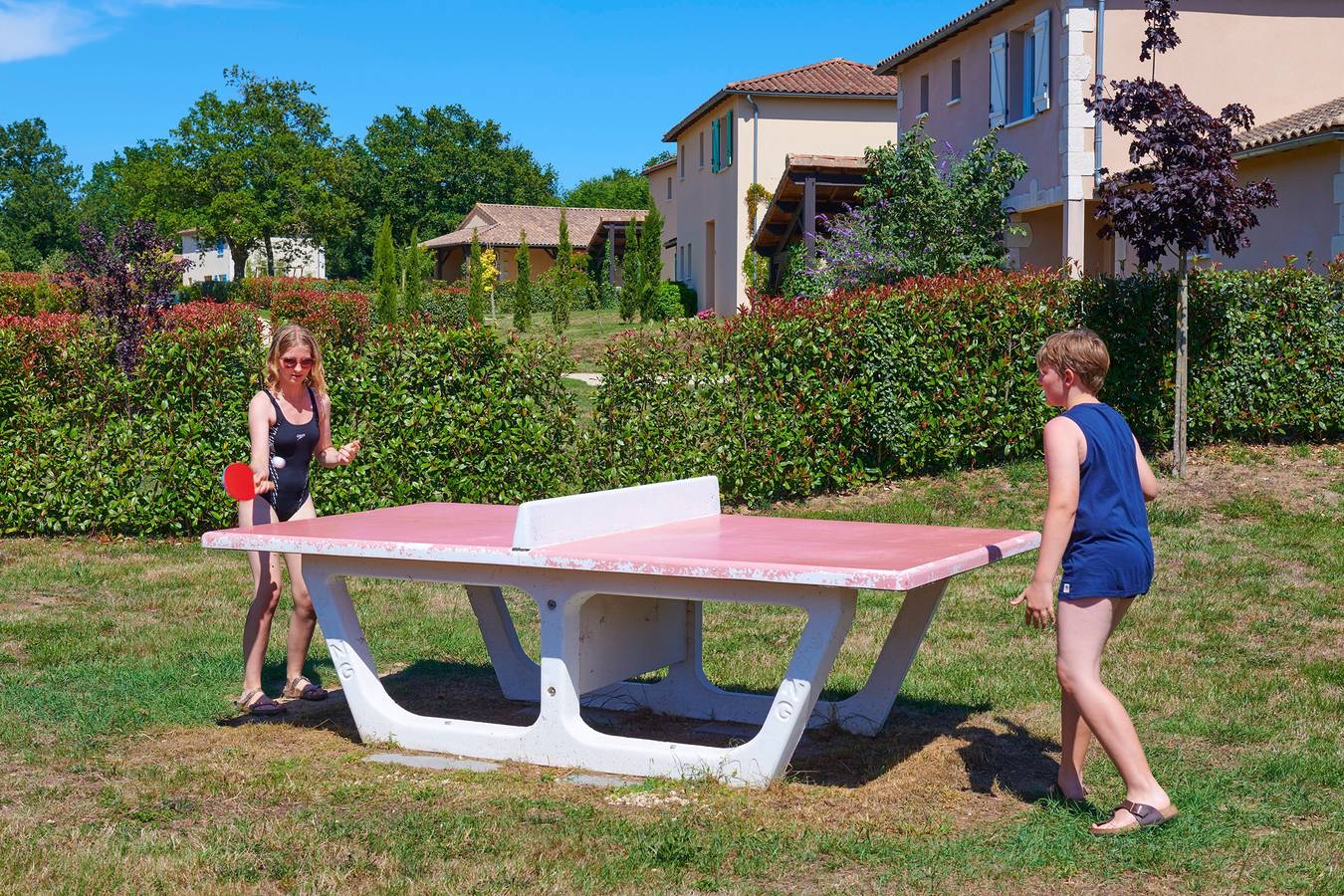 Bourg Est - Vigeliere — Villa 6p. pool deluxe in Les Forges, Deux-Sèvres