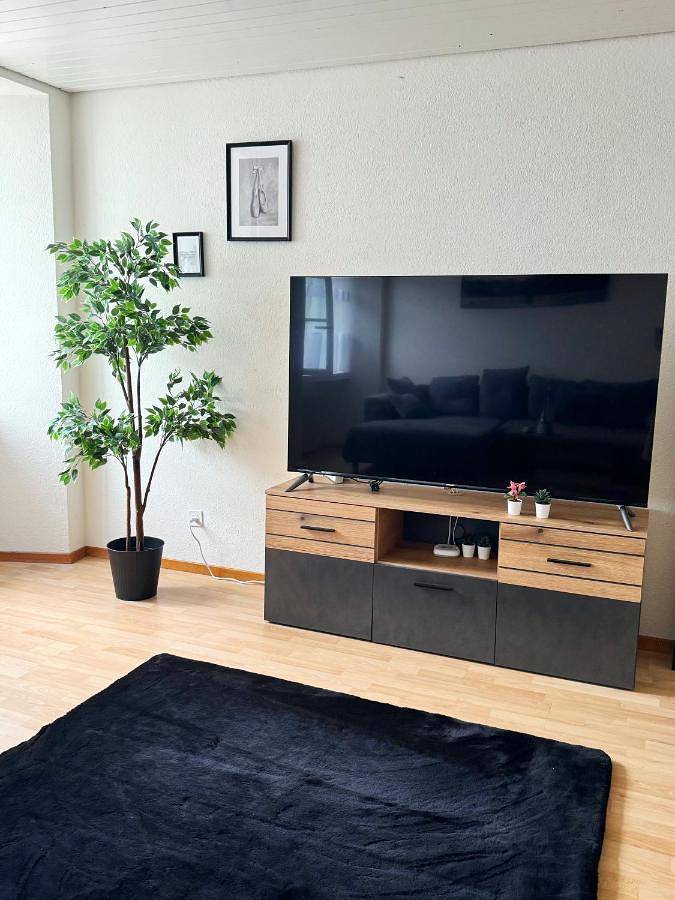 Entire apartment, Double Room with Shared Bathroom in St. Gallen, Zurich Prealps