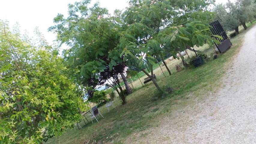 Location de vacances pour 3 personnes, avec jardin et vue, animaux acceptés à Aquino (homonymie) - 4