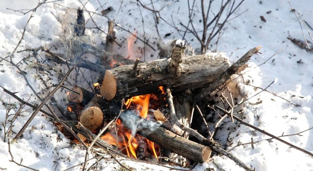 Buffalo Lake Cabin I Private Beach l Detroit Lakes l Pet Friendly in Becker County